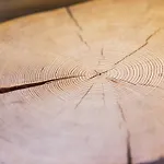 Feriengut Linortner Appartement Saint Wolfgang