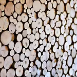 Feriengut Linortner Appartement *