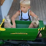 Feriengut Linortner *