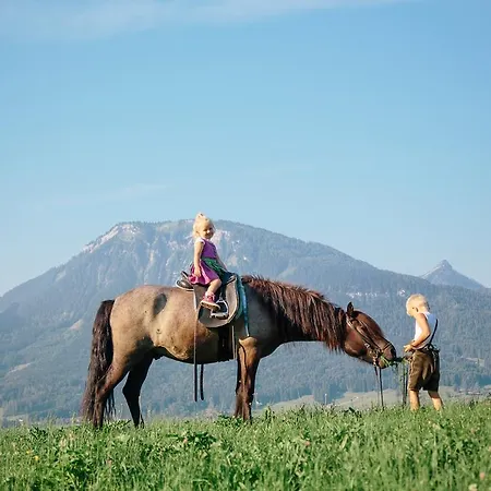 Reiter- Und Feriengut Suassbauer *