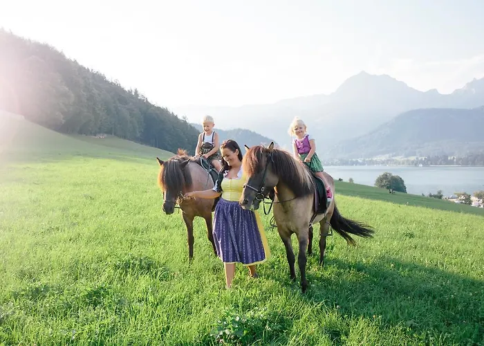 Daire Feriengut Linortner *