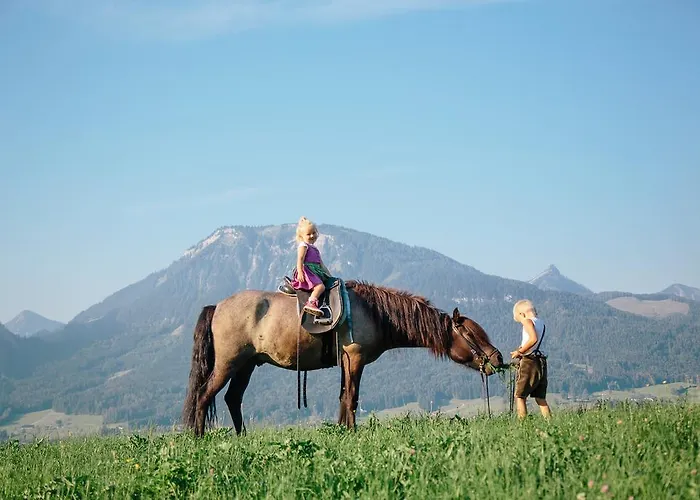 Feriengut Linortner *