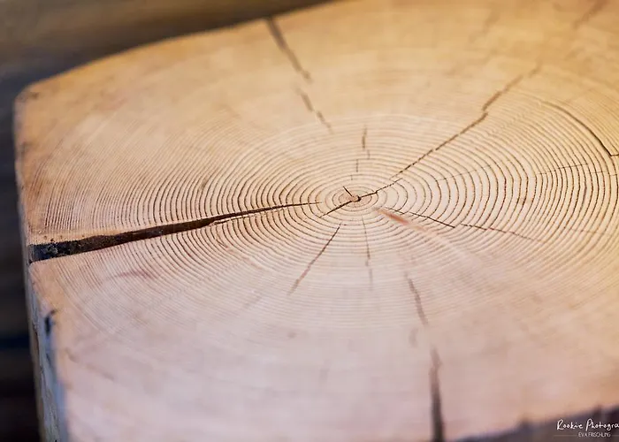 Feriengut Linortner Apartament Saint Wolfgang