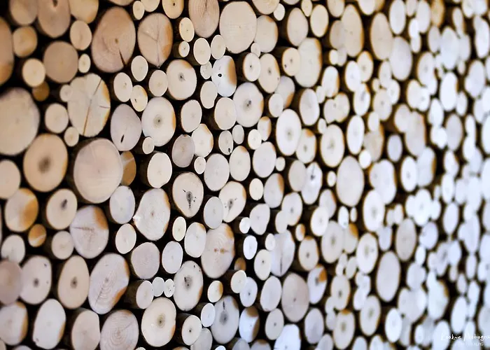 Feriengut Linortner 公寓 *