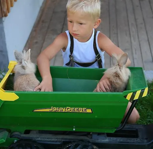 Feriengut Linortner *