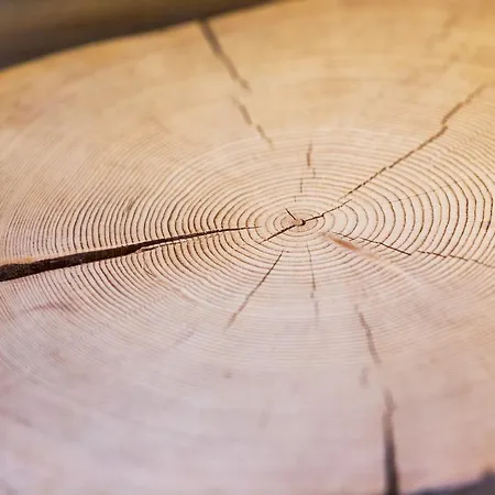 Feriengut Linortner Appartamento Saint Wolfgang